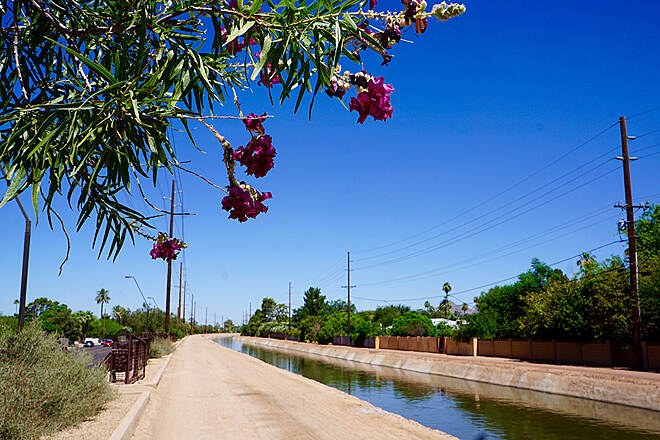 Canal path near Old Town Scottsdale's Waterfront district, lined with oleander blooms