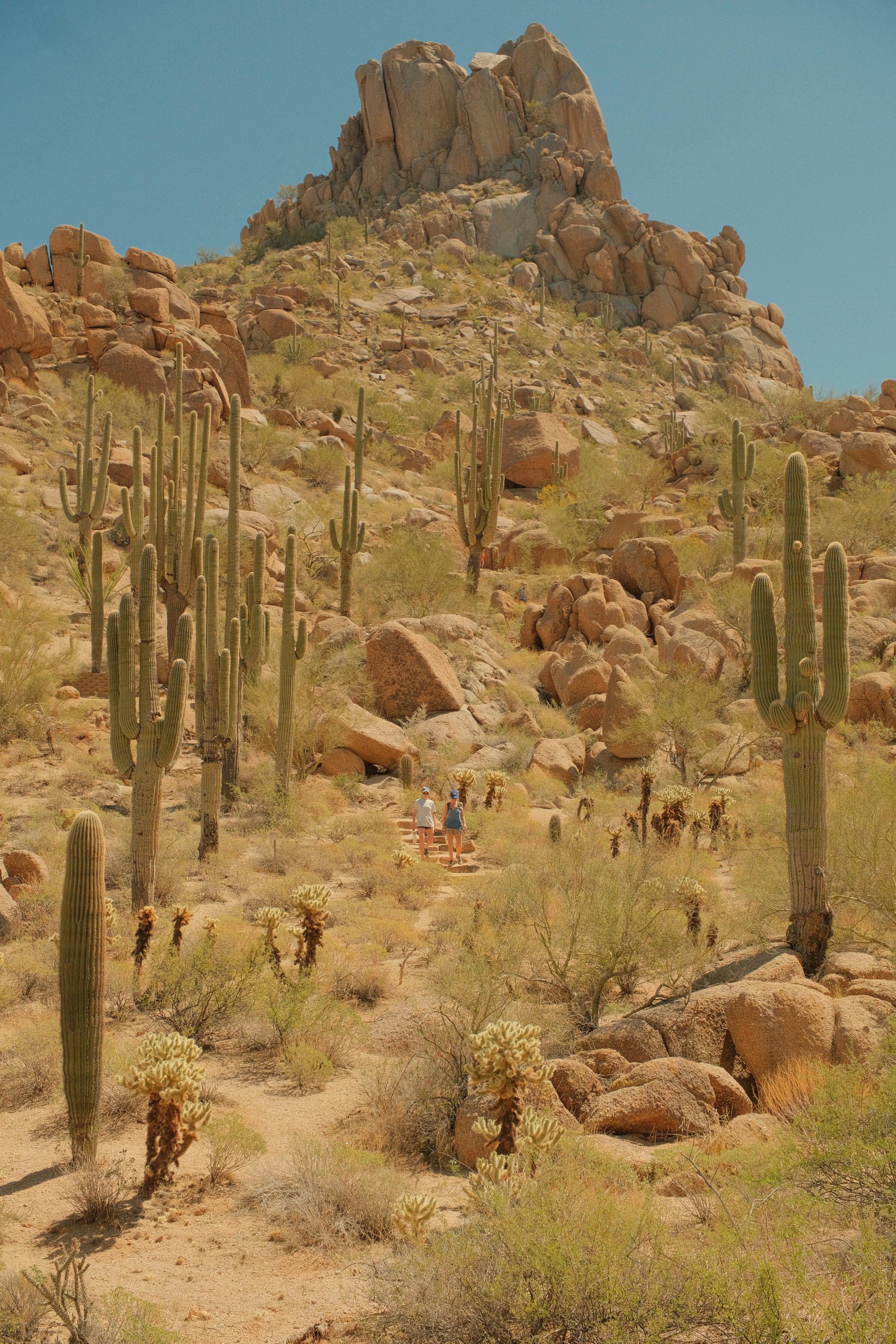 Relocating to Scottsdale: A Guide for Out-of-State and International Buyers