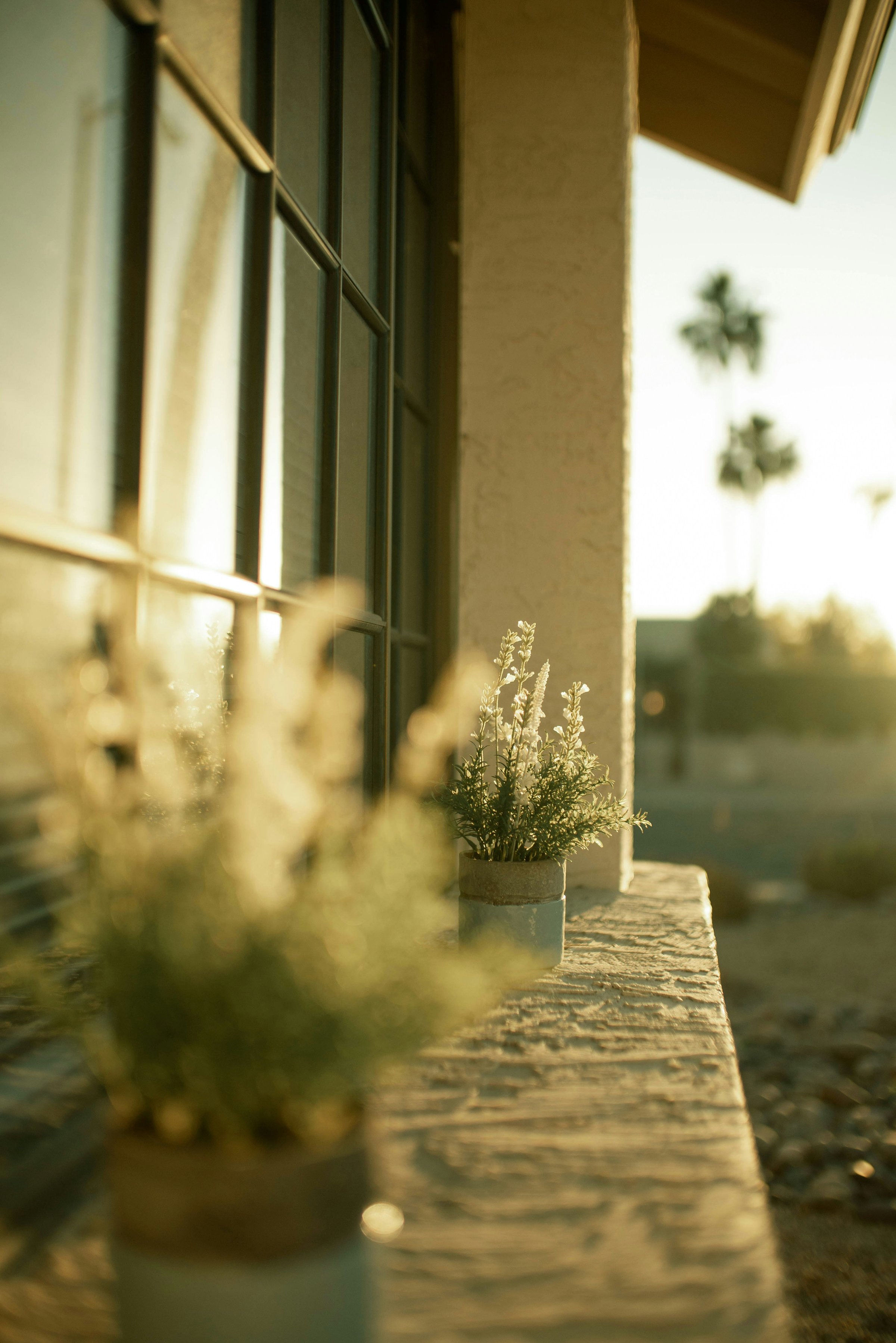 Selling Your Scottsdale Home for Top Dollar: A Luxury Seller's Timeline